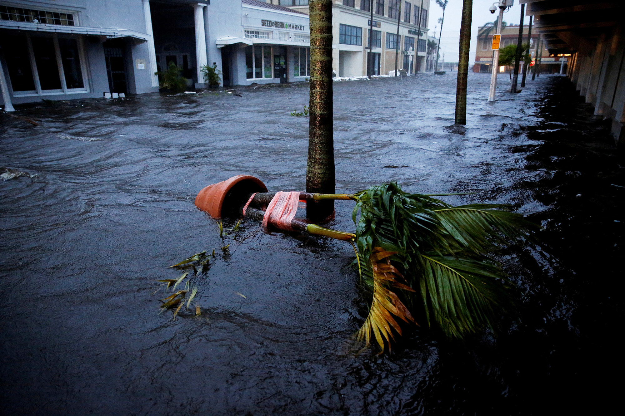 A potted plant lies on its side in a street filled with several feet of water