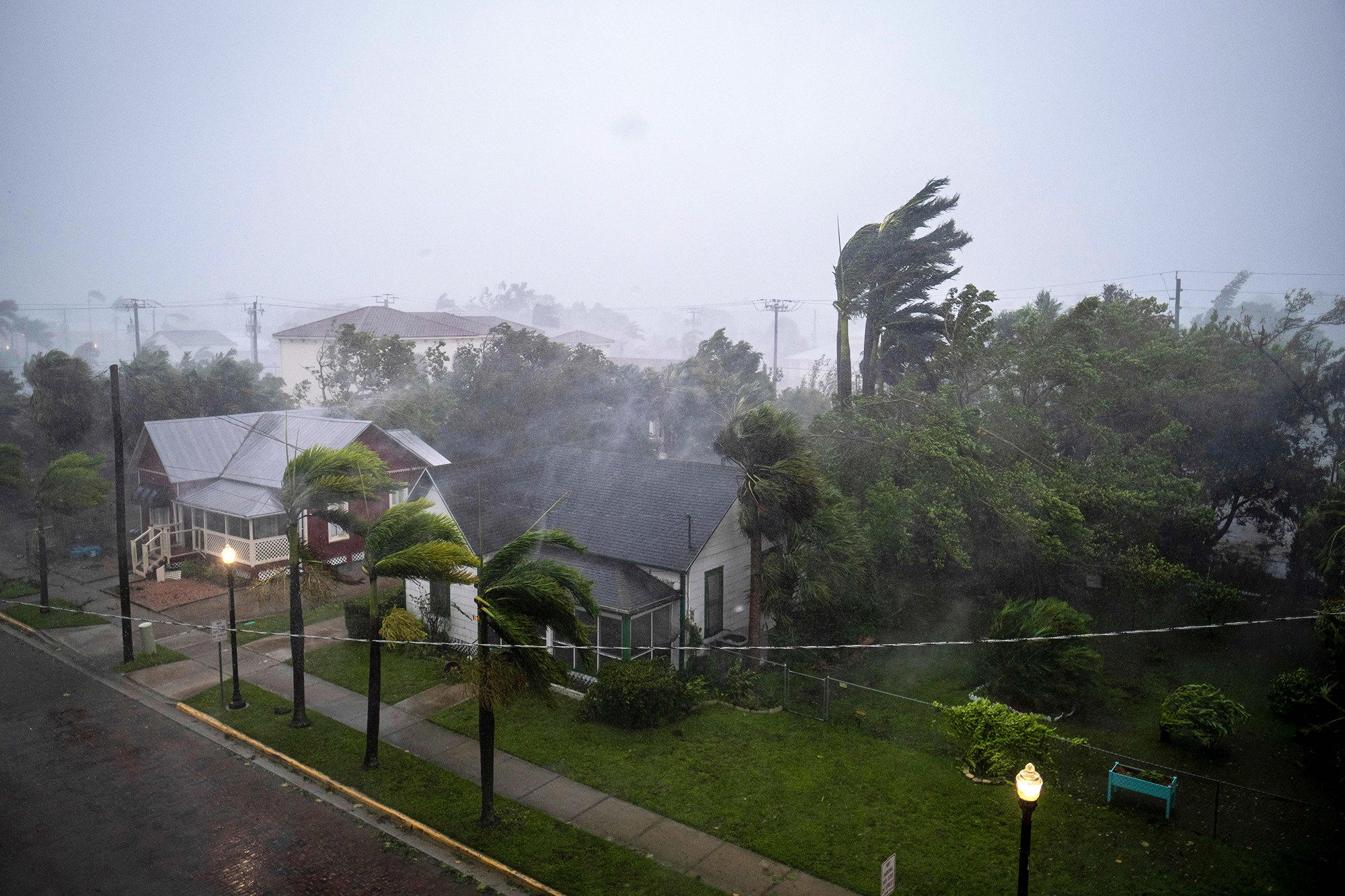 Palm trees blow in the rain near houses