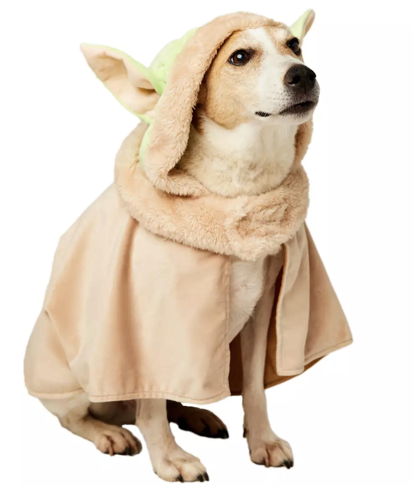 A dog in a Grogu cape costume with a hood