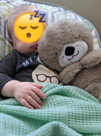 reviewer's baby sleeping with the otter