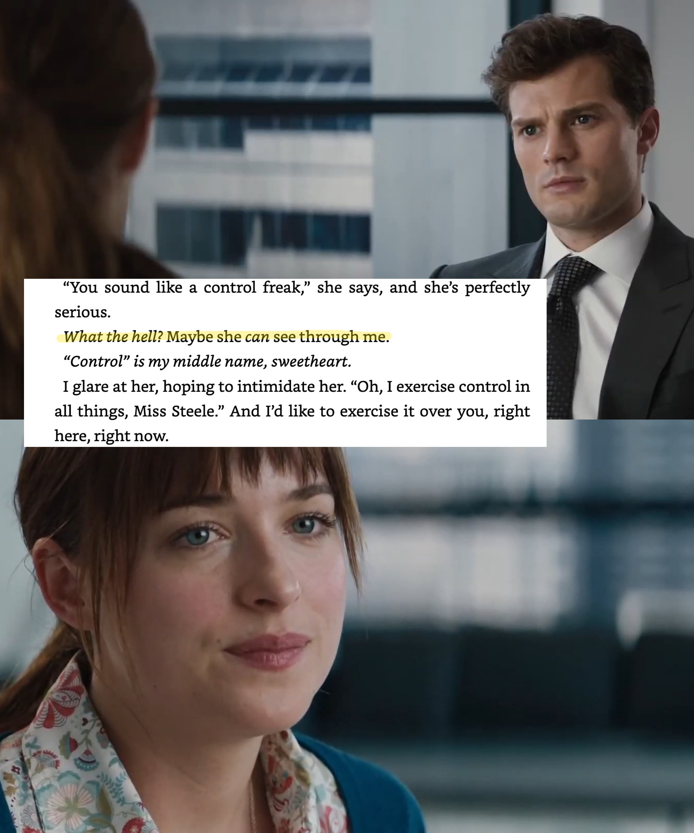 &quot;50 shades of grey&quot; (insert) excerpt from &quot;Grey&quot;