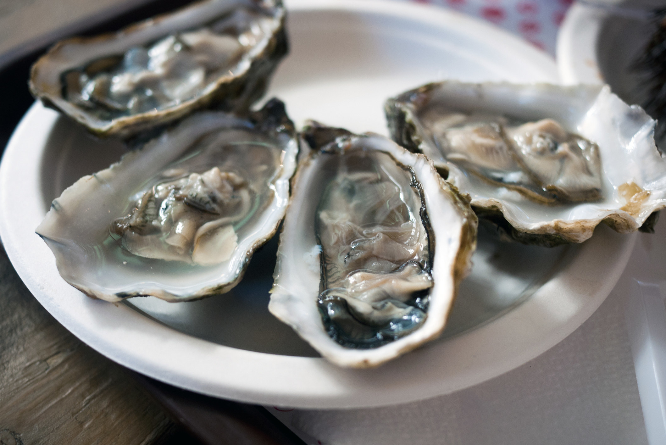 plate of oysters