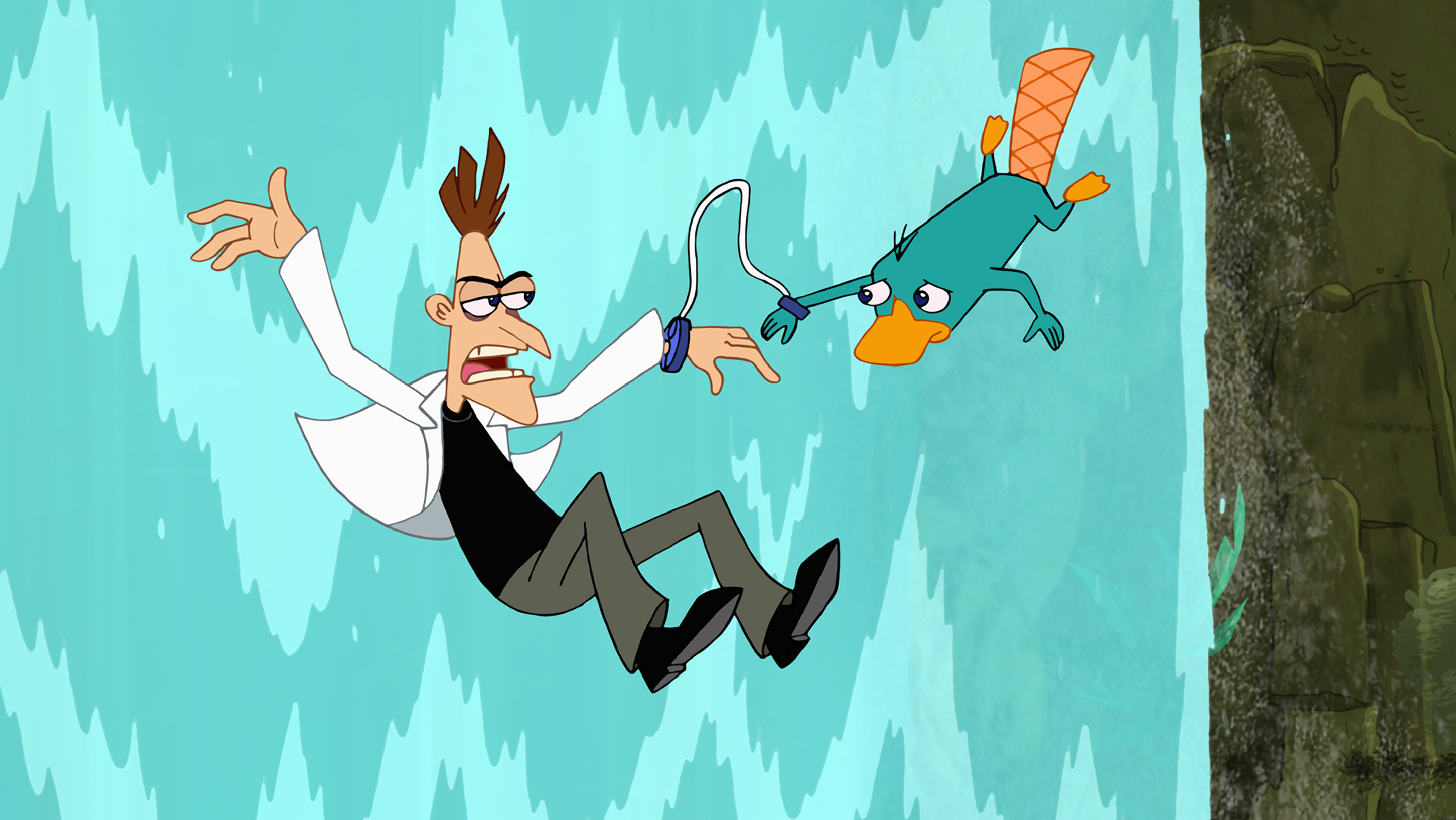 the doctor falling down a waterfall with a platypus