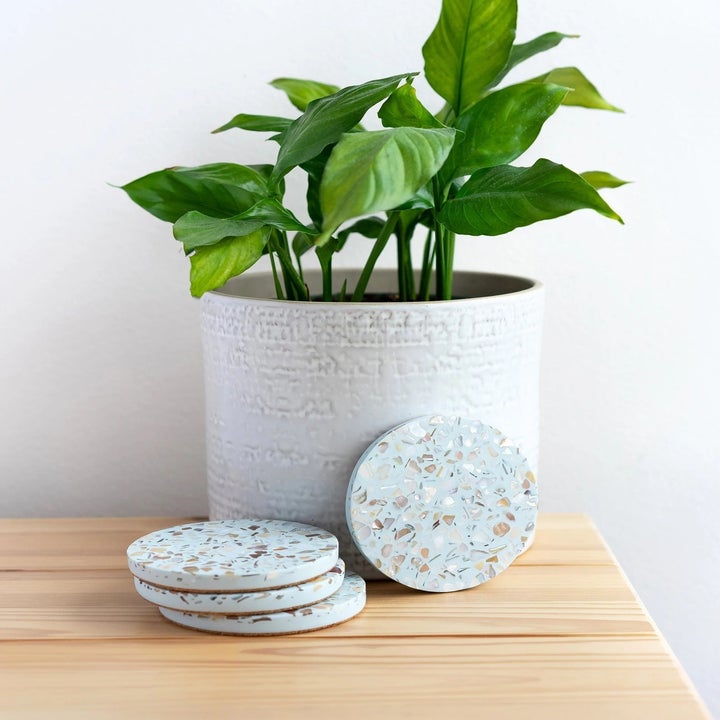 The light blue coasters are shown leaning up against a planter