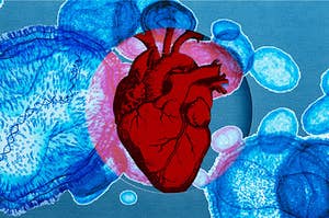 A book-cloth-textured surface with a circular dye cut that reveals a red illustrated heart. The monkeypox virus, in blue, surrounds the heart on the surface. In the inner circle with the heart, the virus is red.