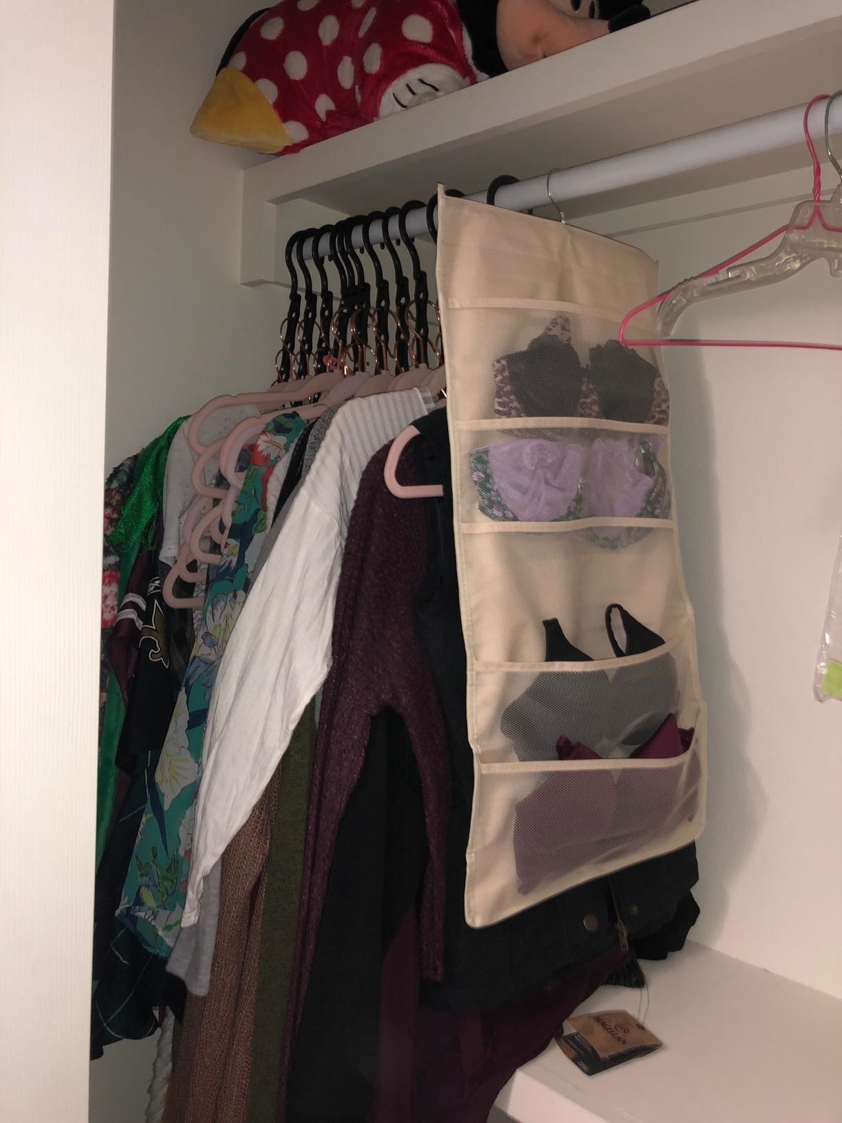 A reviewers organizer hanging in the closet filled with bras