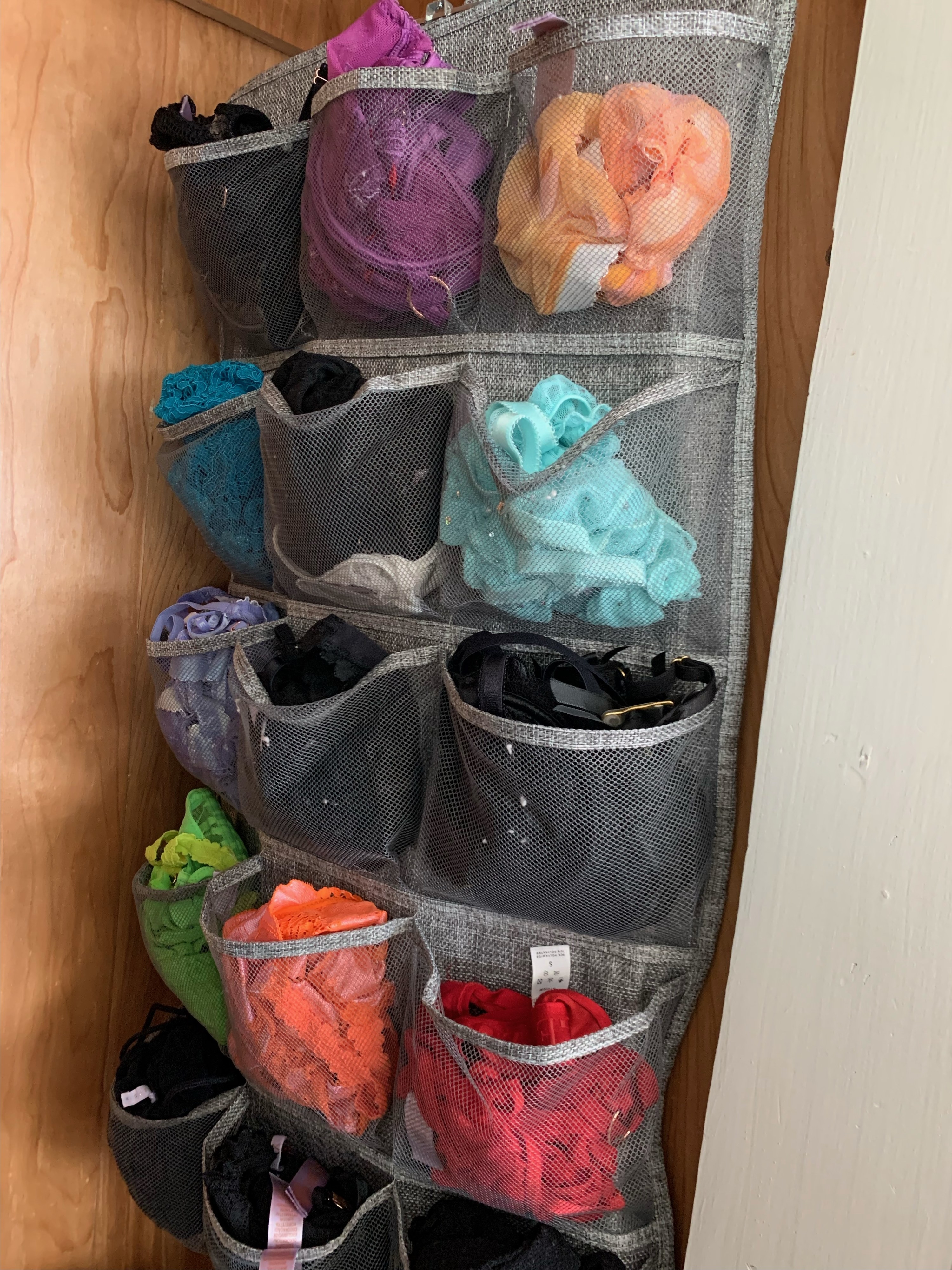 Bra & Panties organizer