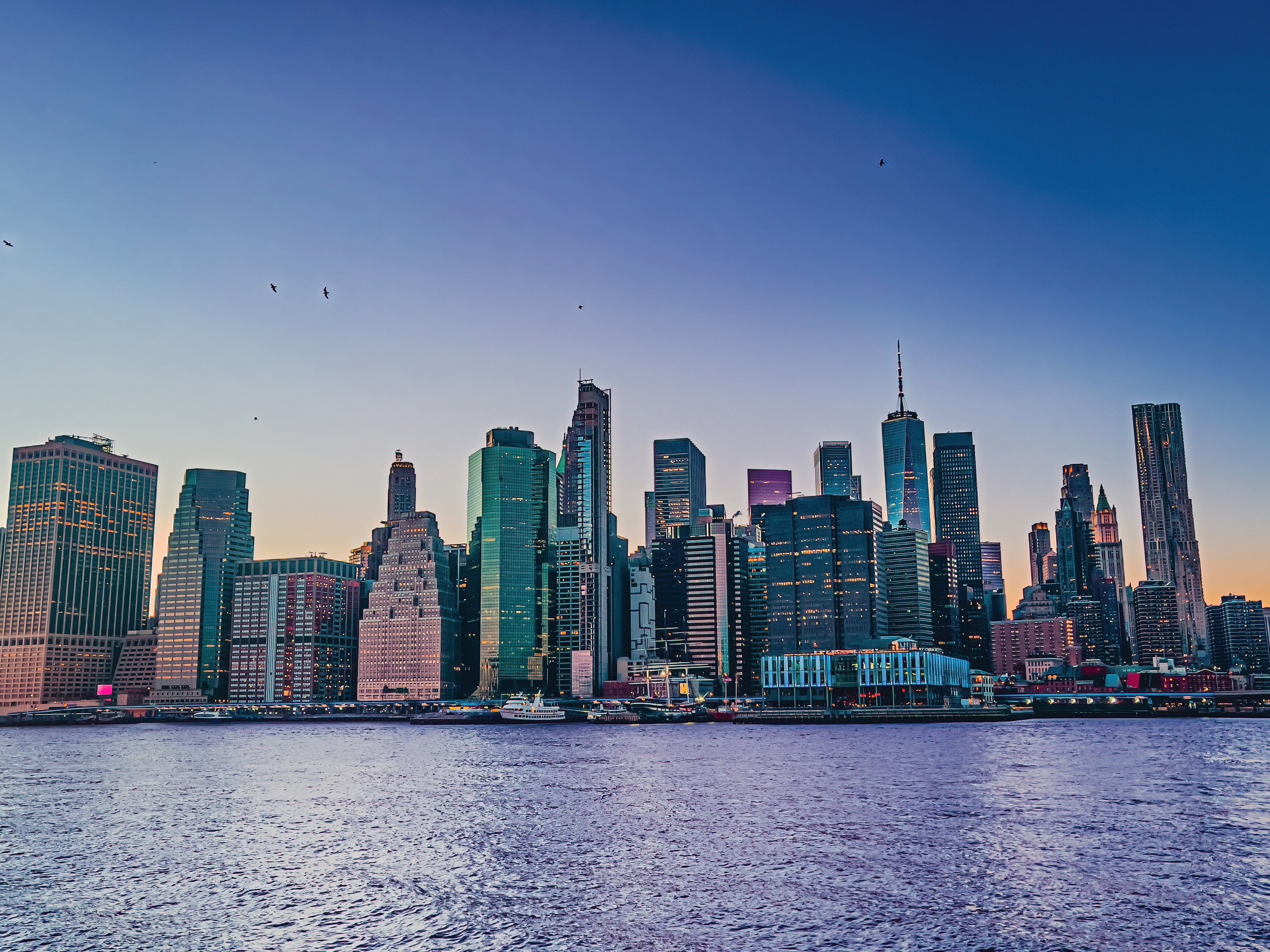 The downtown Manhattan skyline