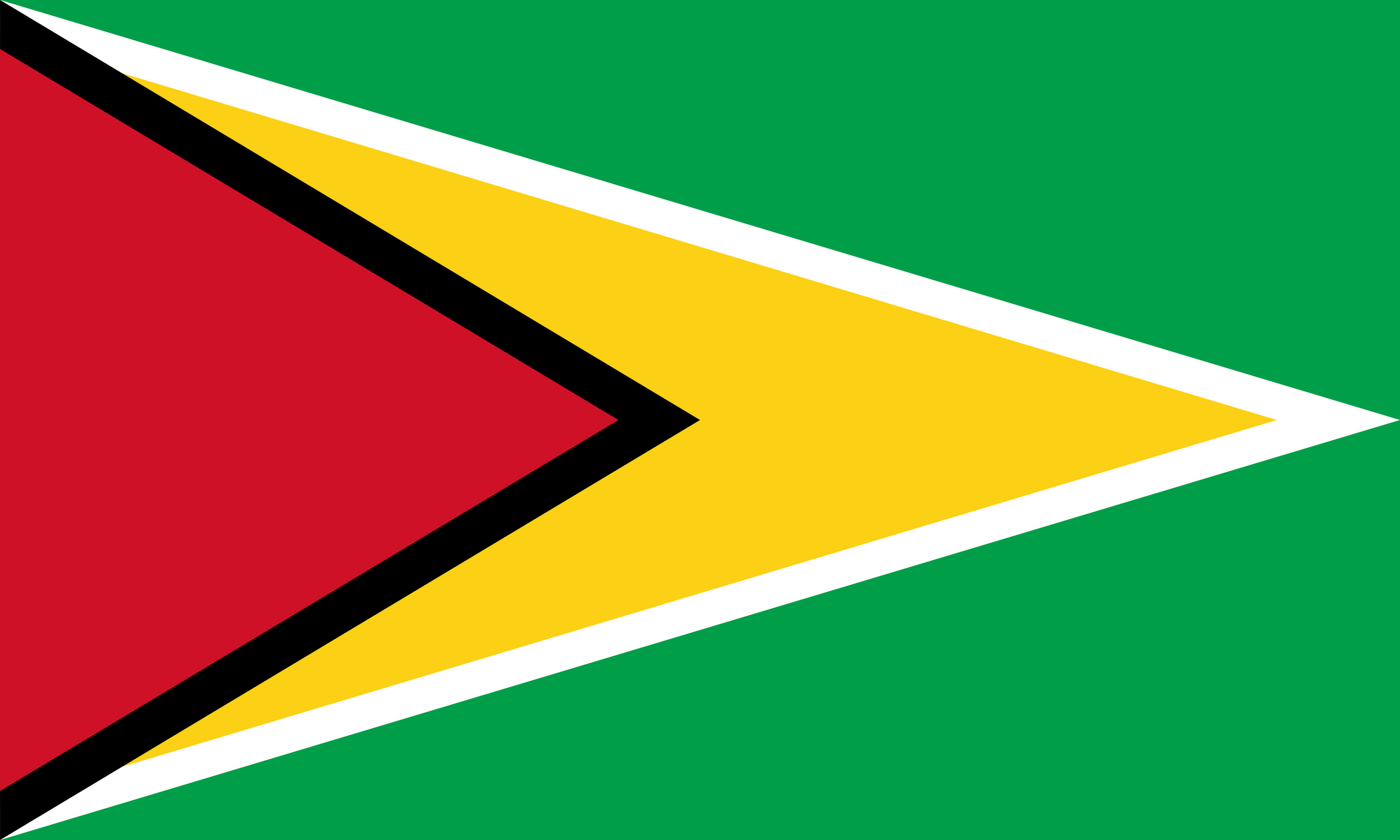 Flag of Guyana, or the Golden Arrowhead,  consisting of a green field incorporating a red hoist triangle and a central yellow arrowhead, separated by black and white borders.