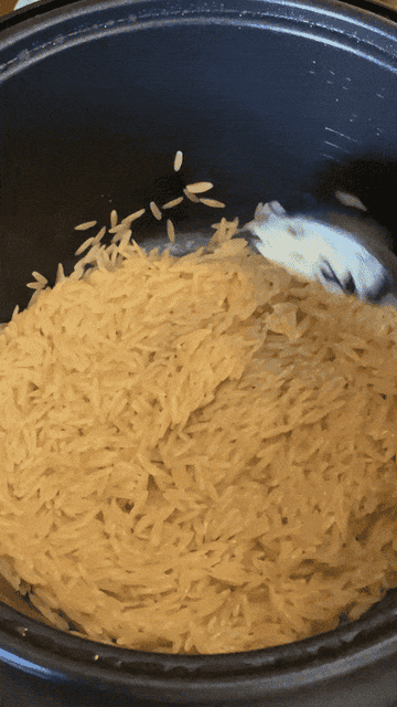 gif of cooked orzo pasta being stirred in rice cooker