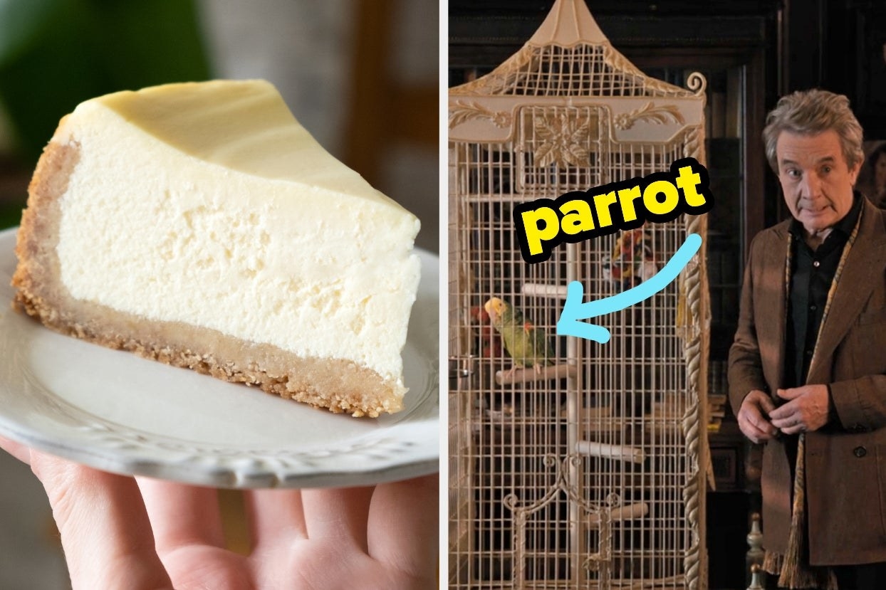 两张照片;在左边,一片纯芝士蛋糕,在右边,马丁短的鹦鹉有一个箭头指向那只鸟