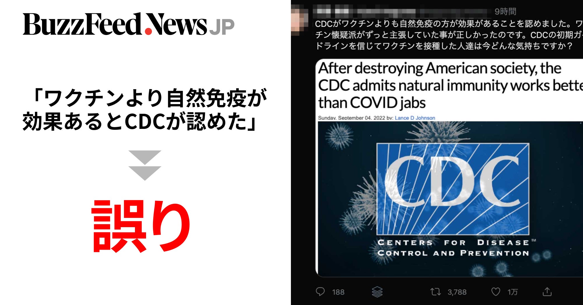 Image accompanying 「米国CDCがワクチンよりも自然免疫の方が効果があると認めた」とコロナ感染めぐり拡散した情報
