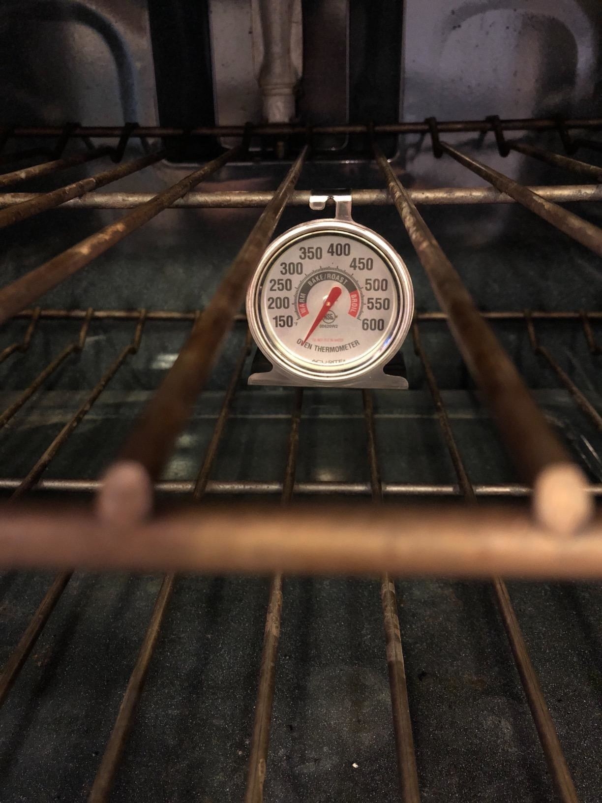 reviewer photo of the stainless steel thermometer resting horizontally on oven rack