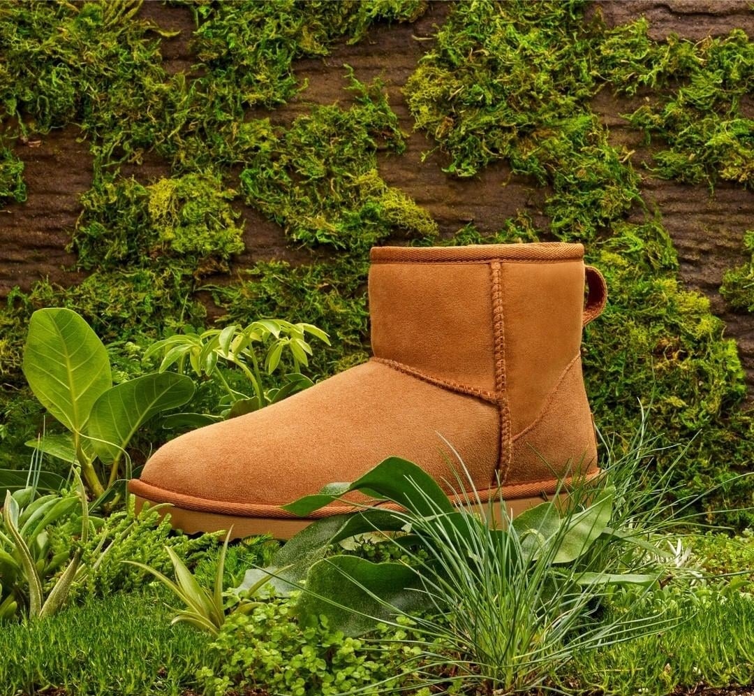 A mini Ugg boot on grass