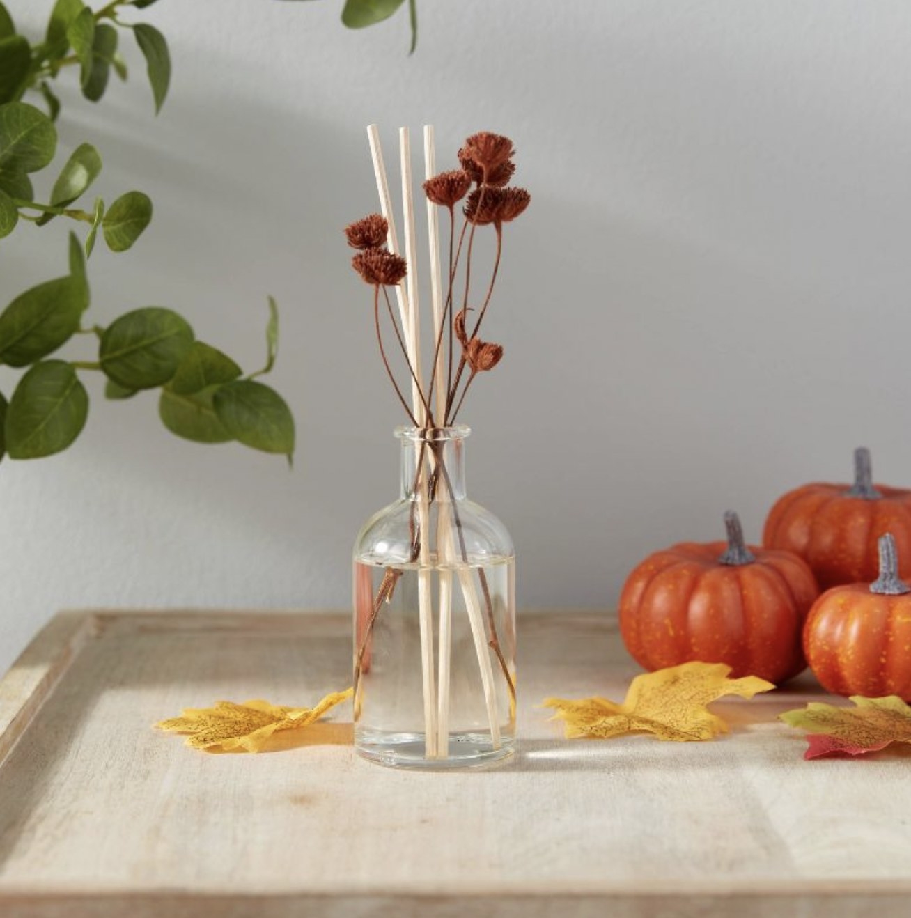 The reed diffuser set up on a table with fall decor and plants in background