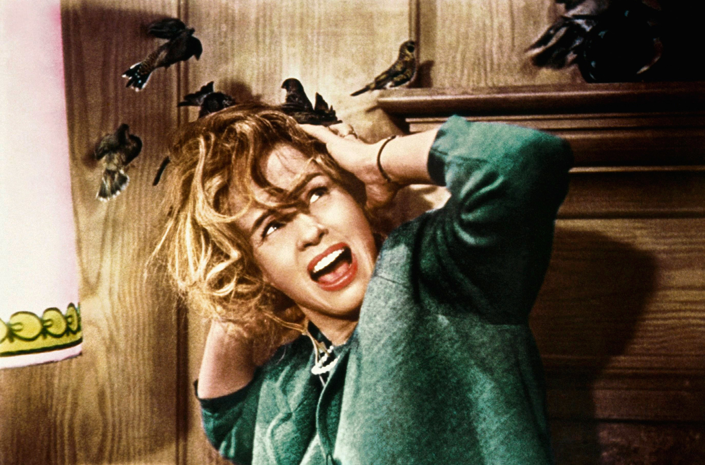 Jessica Tandy being attacked by birds.