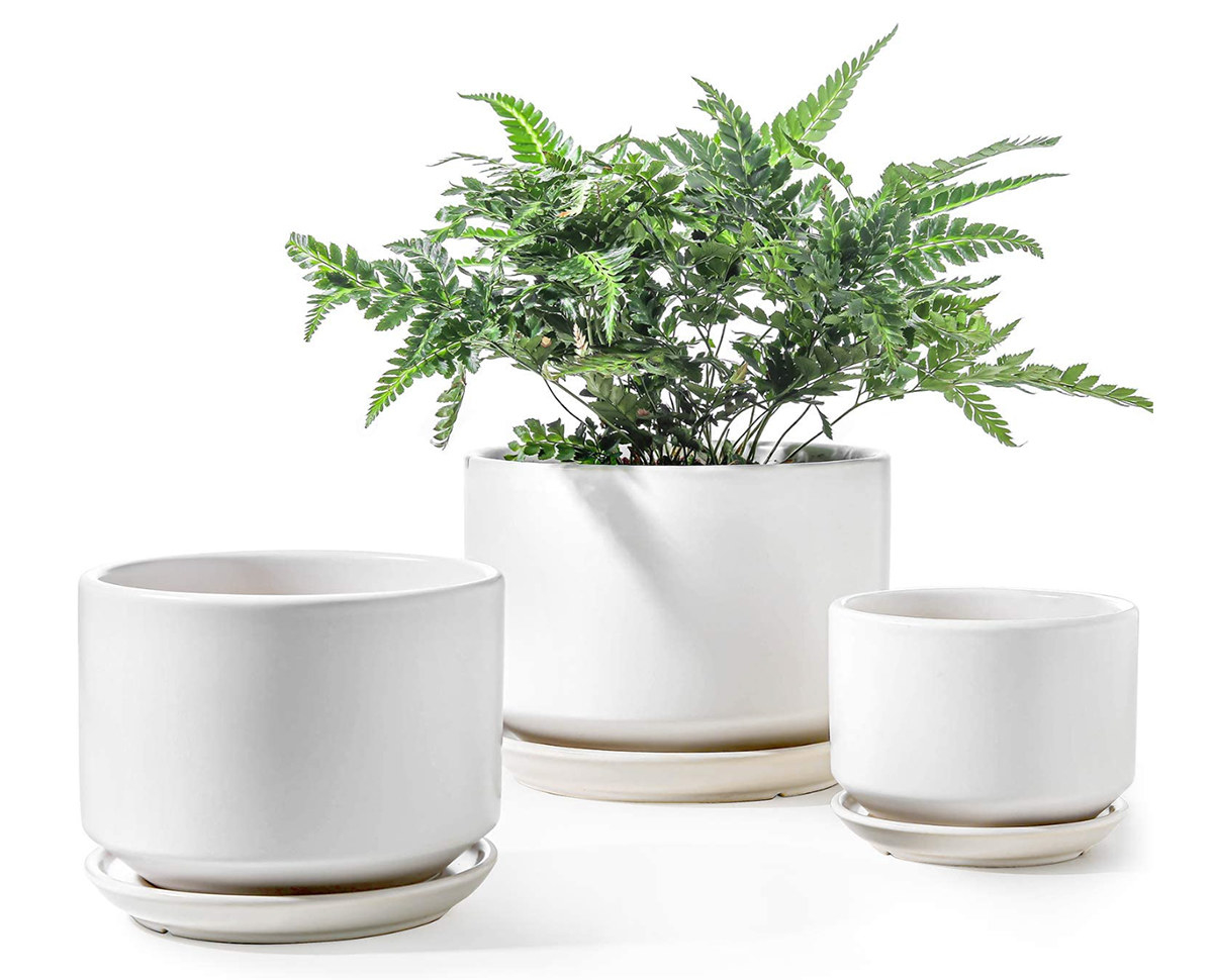 An image of ceramic plant pots