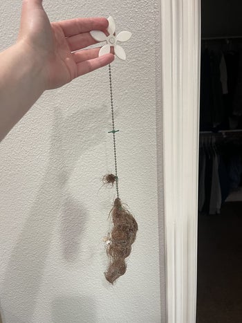Reviewer showing shower drain cover covered in lots of hair