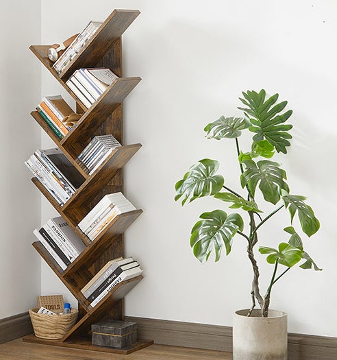 Several books on the book tree, a plant is next to it