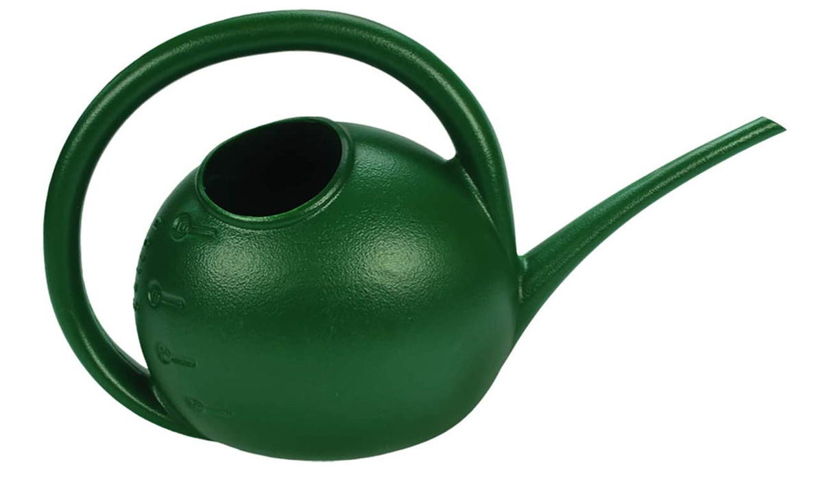 An image of a watering can