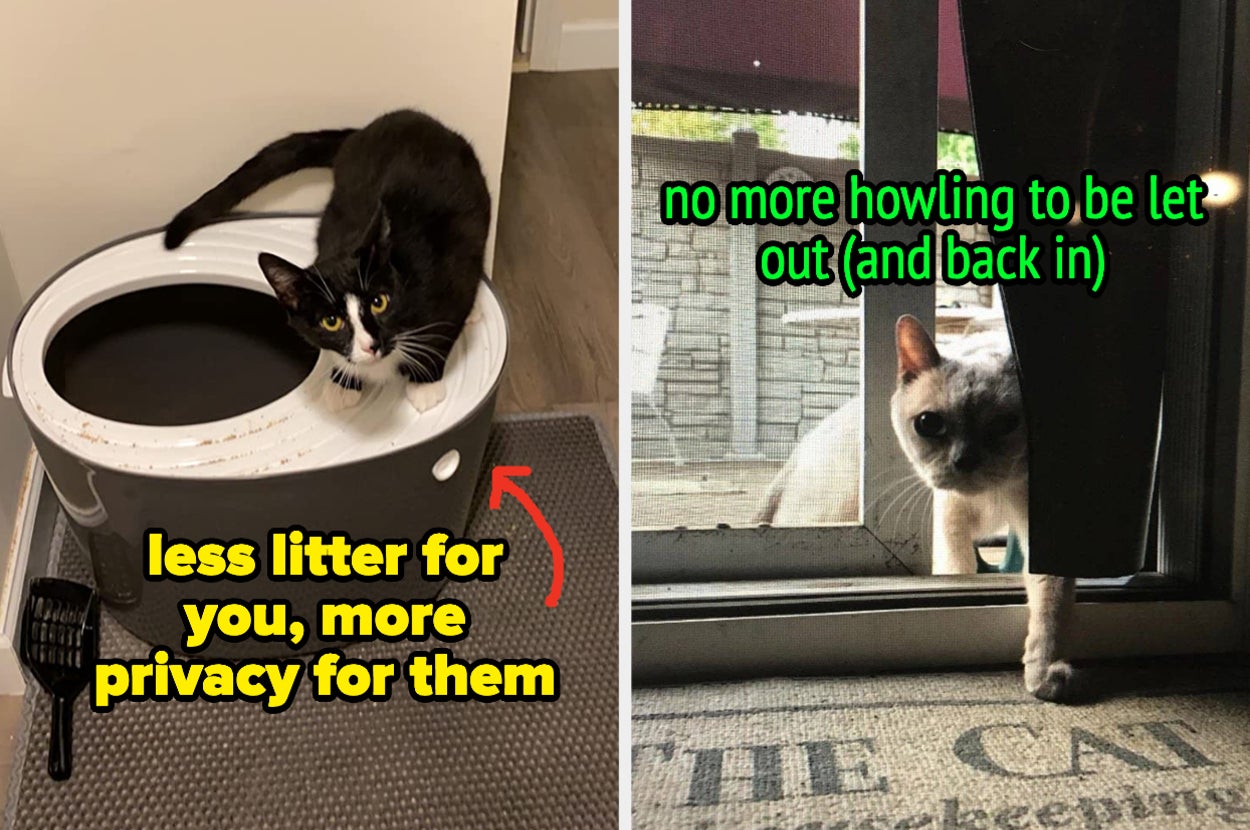 a top entry litter box that = less litter for you and more privacy for them / a cat door letting a cat go in and out on their own