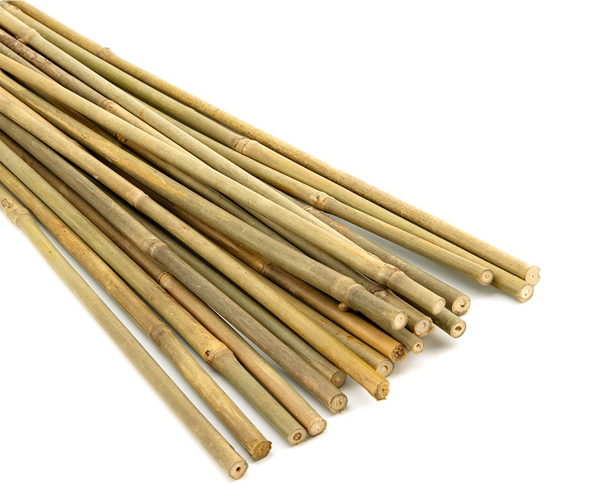 An image of natural bamboo stakes