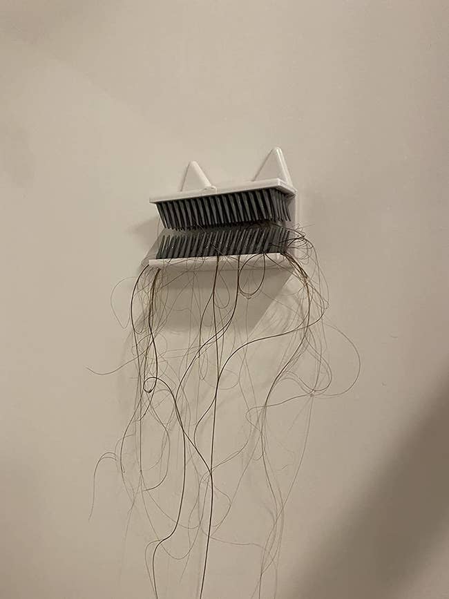 Reviewer's hair in hair catcher on shower wall