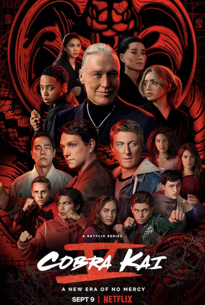 The poster for Cobra Kai&#x27;s fifth season featuring the main cast