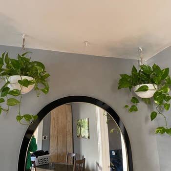 the same pots now in nice hanging planters