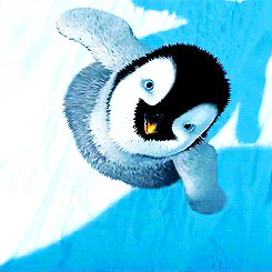 A penguin from the movie Happy Feet dancing with the caption &quot;They&#x27;re happy too!&quot;