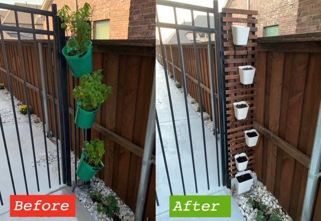 a reviewer shows their gate with and with the trellis and plants