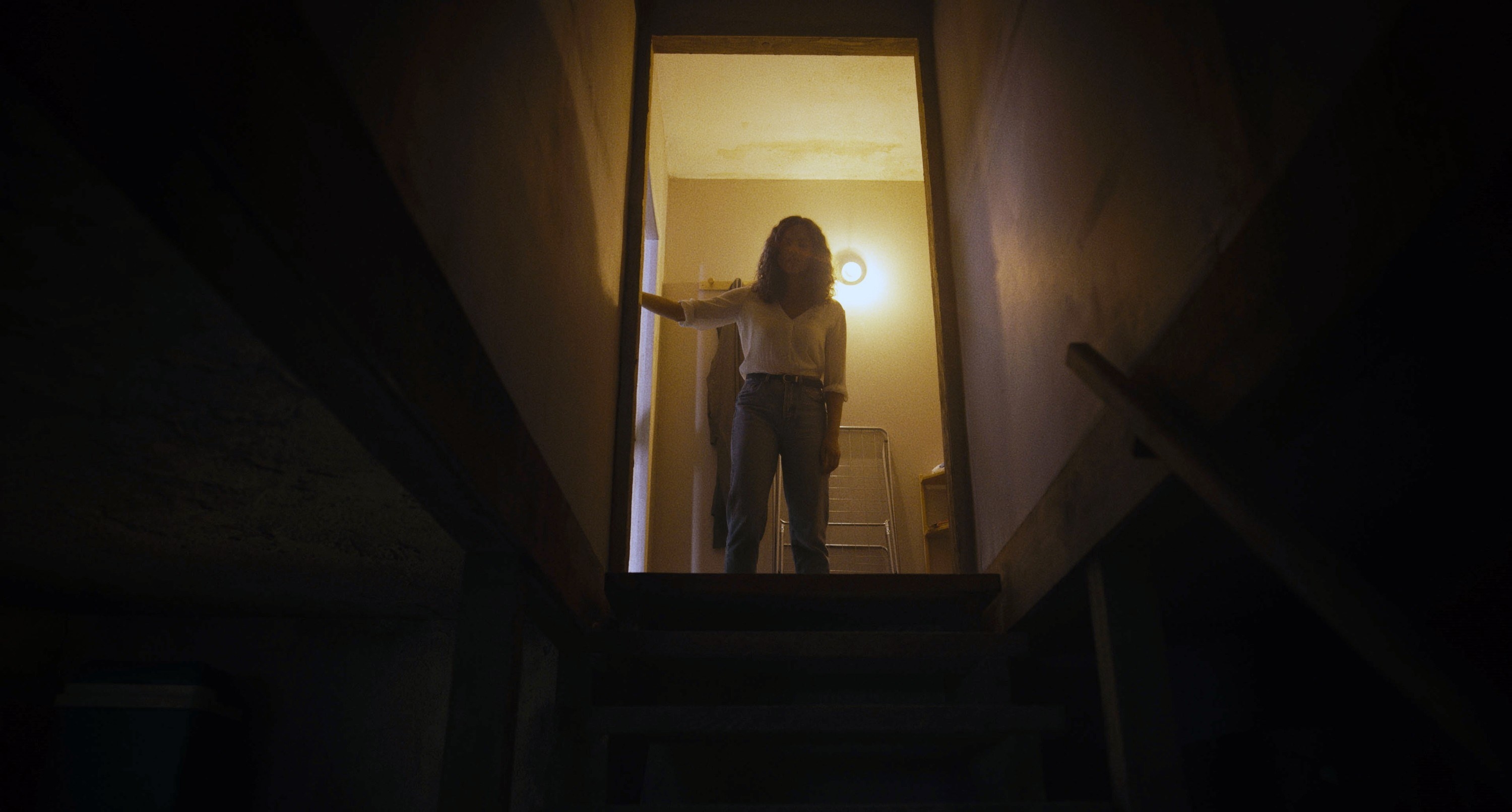 Barbarian Review A Wild Horror Film About An Airbnb picture