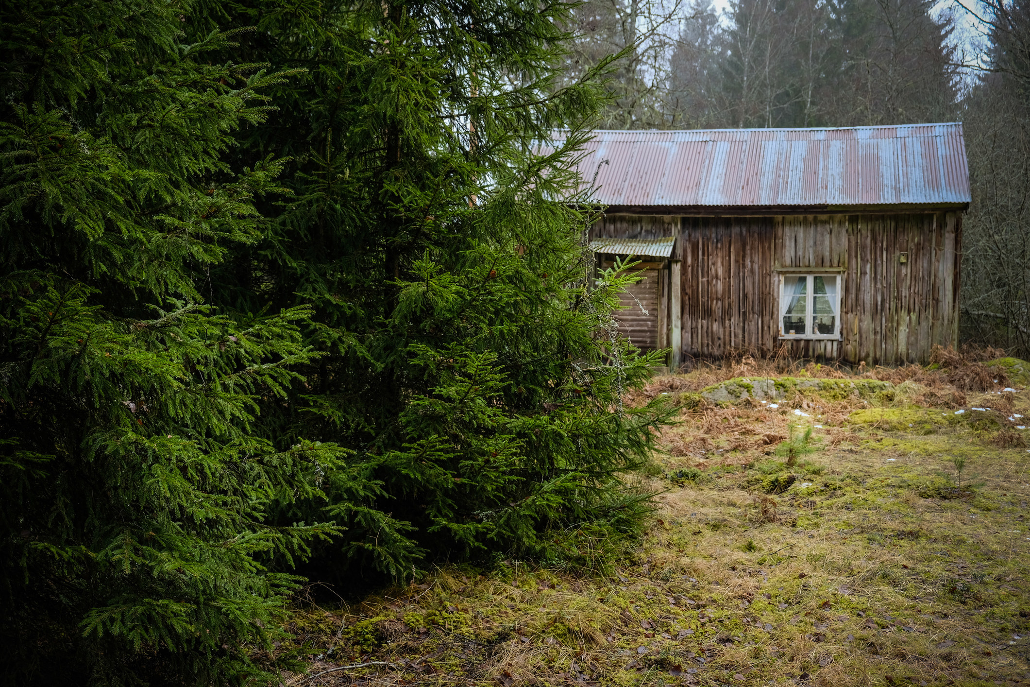 abandoned cottage