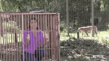 Carole Baskin in a cage with a tiger behind her