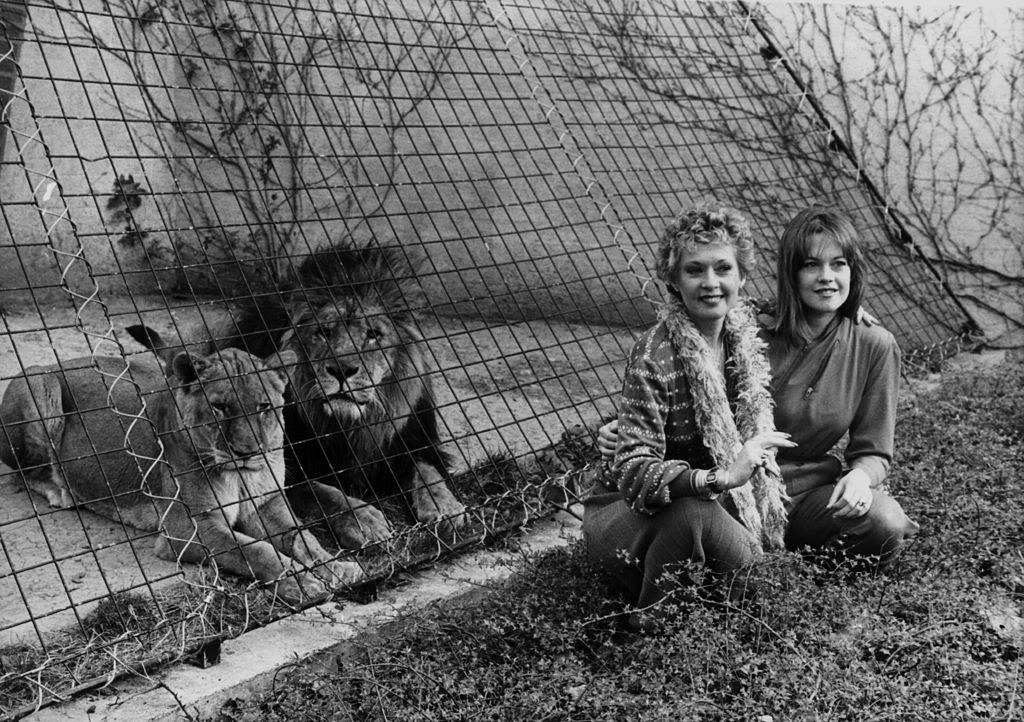 mother and daughter posing by lions in a gate