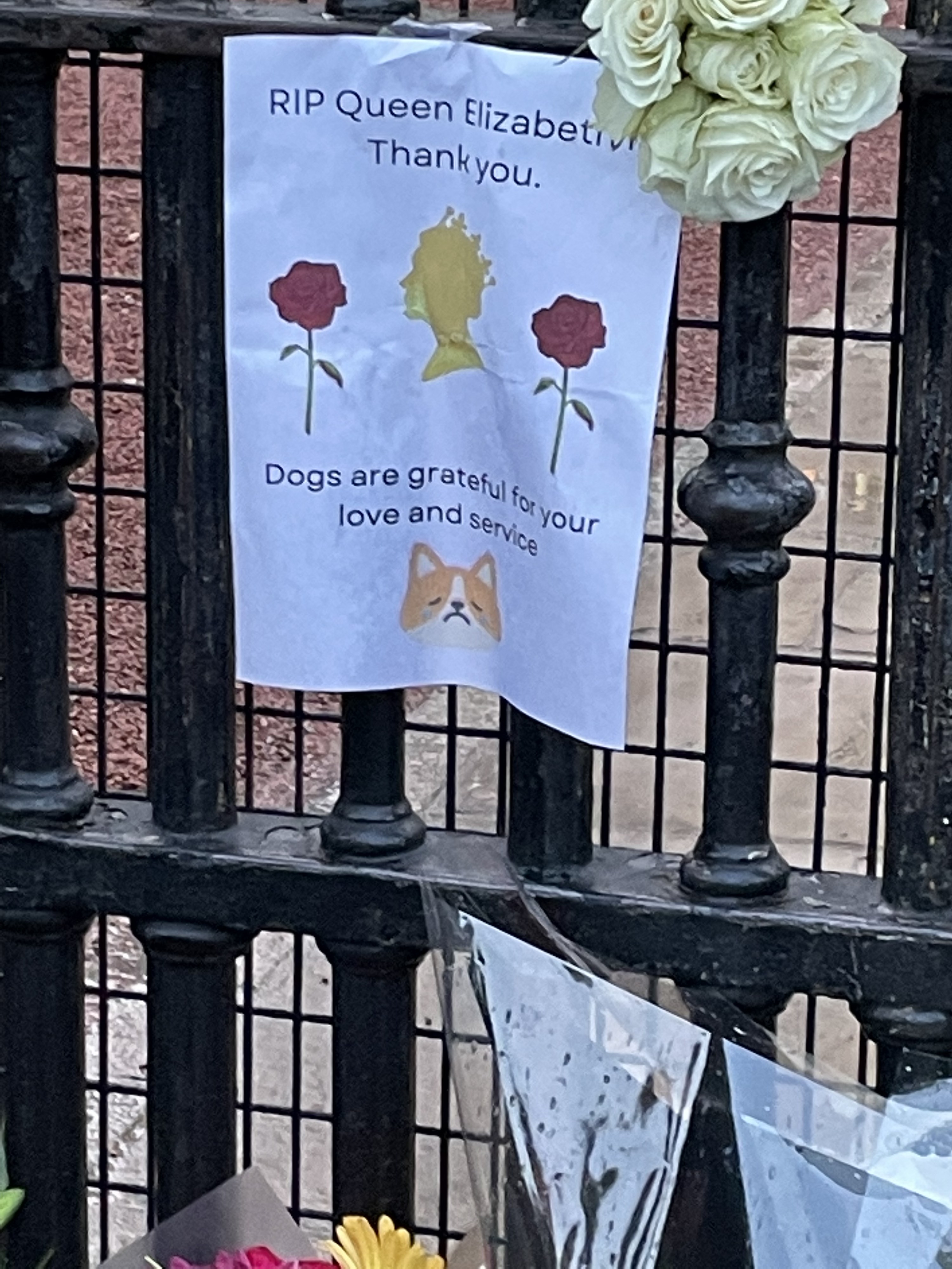 A sign with images of the Queen and a corgi taped on the gate outside Buckingham Palace reads RIP Queen Elizabeth. Thank you. Dogs are grateful for your love and service 