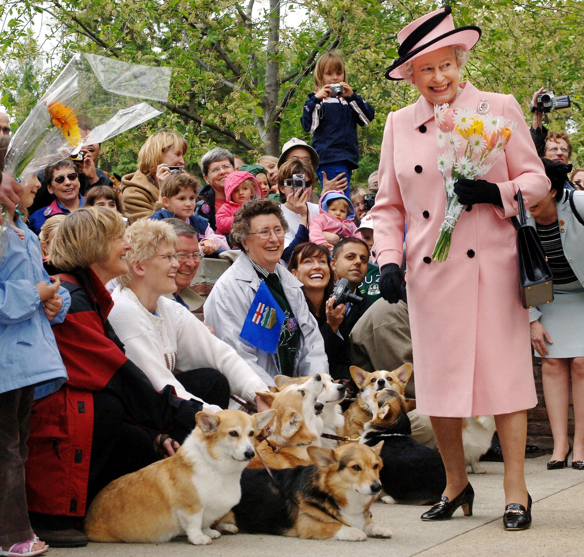 A Pembroke Welsh Corgi Dog Owned by Queen Elizabeth II – MyPuzzle