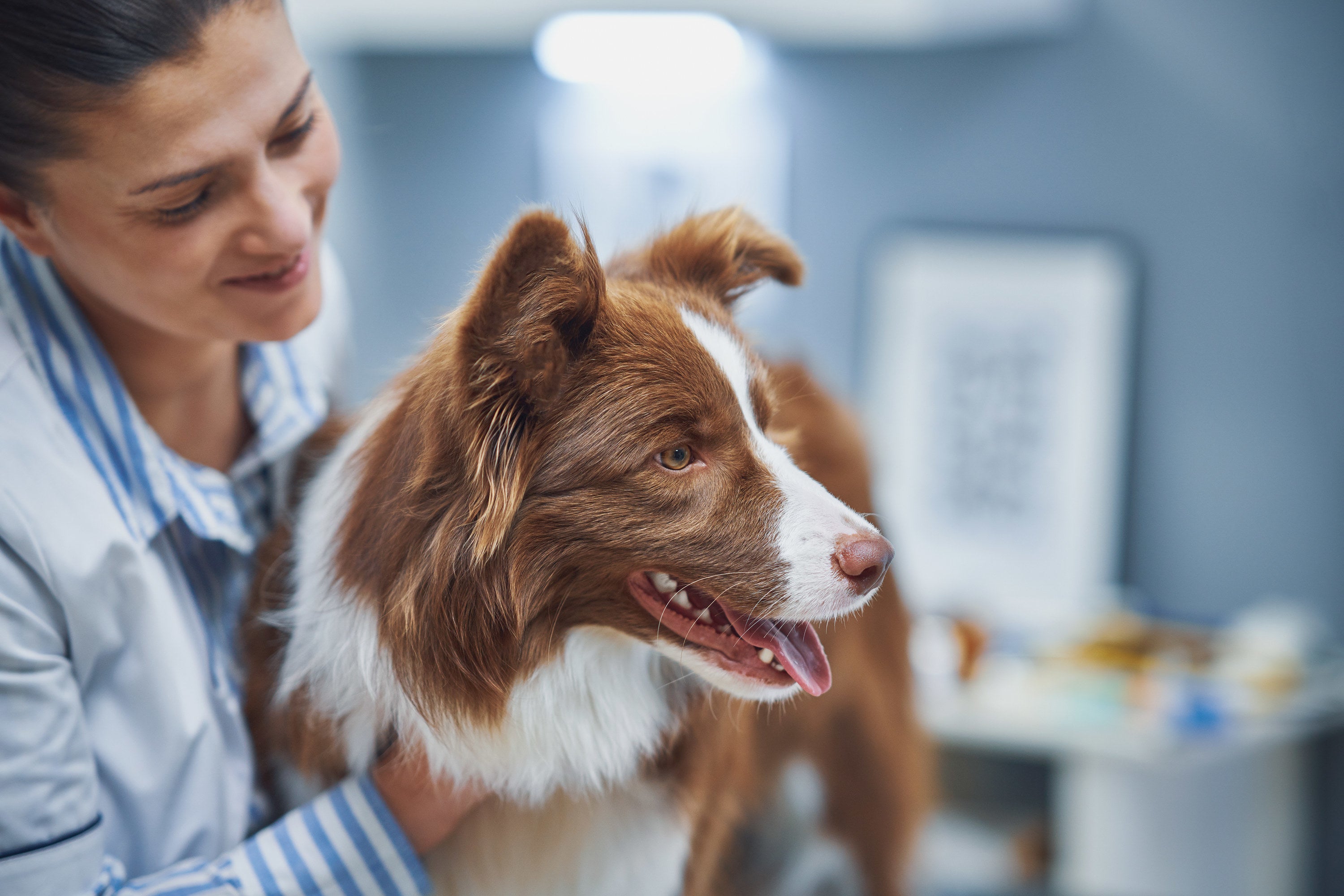 If You Work With Animals, Tell Us Facts People Should Know