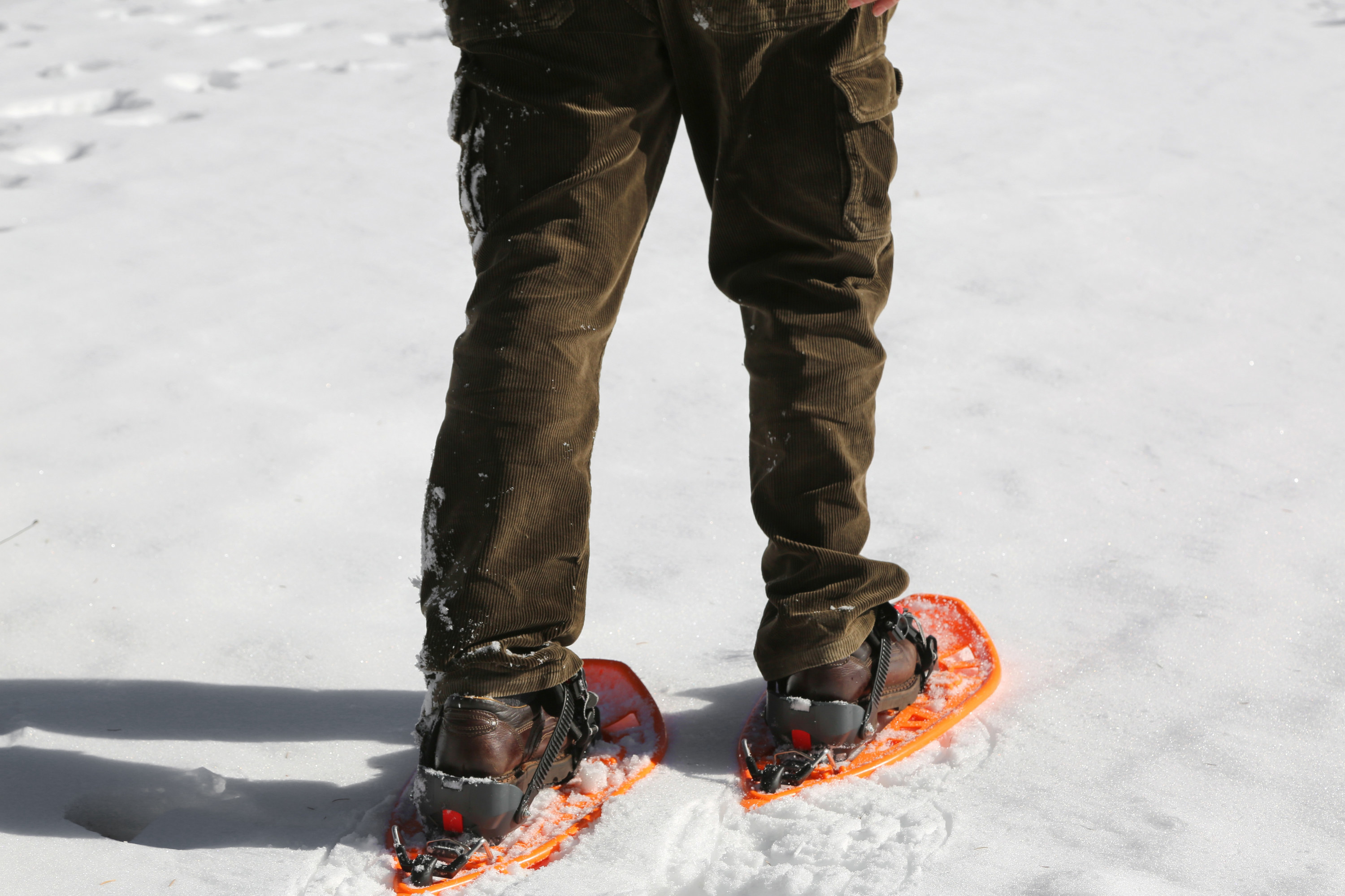 snowshoes walking in show