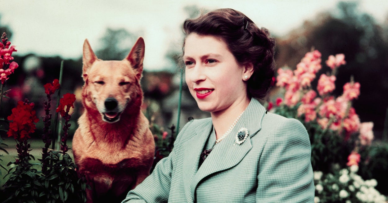 See Queen Elizabeth II’s Obsession With Corgis Over The Years
