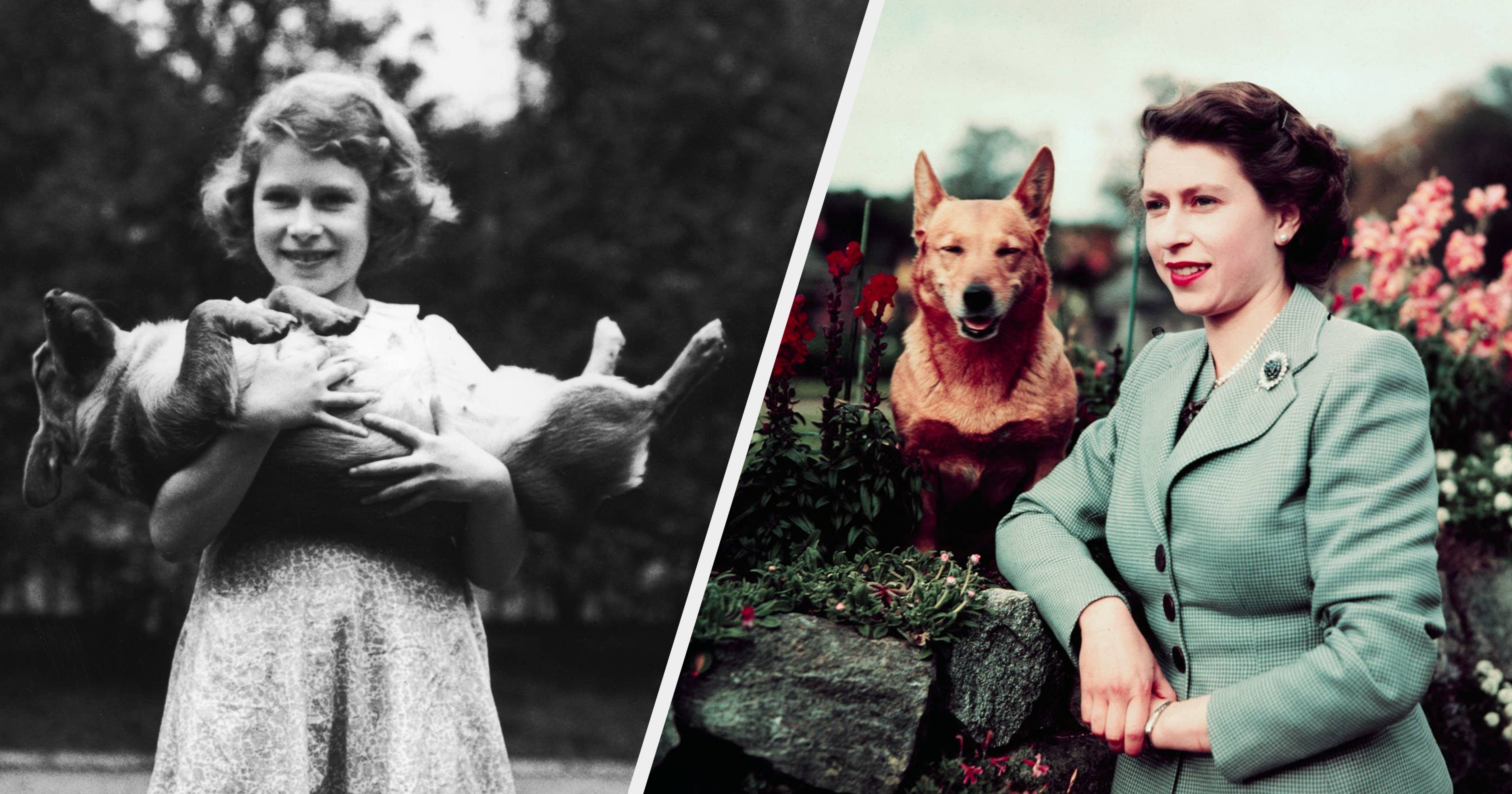 See Queen Elizabeth II’s Obsession With Corgis Over The Years