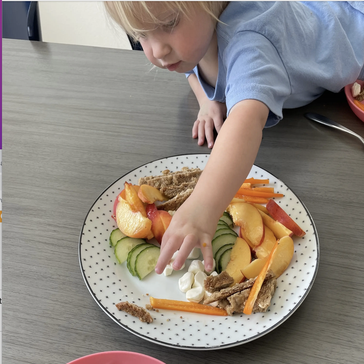 23 Best Costco School Lunch Snacks That Are NutFree