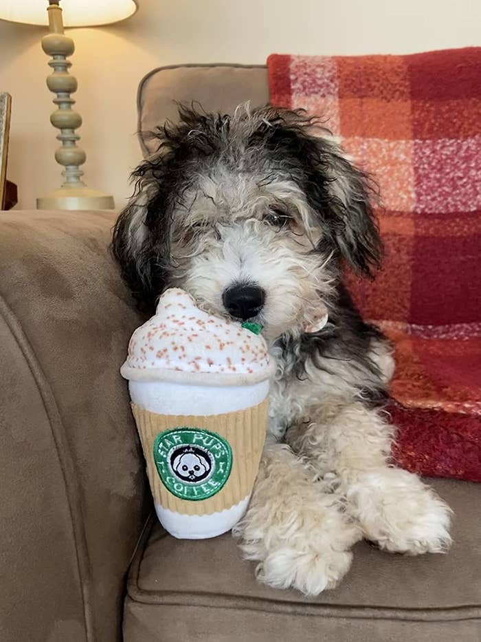 a reviewer photo of a scruffy white and black puppy with the coffee cup shaped toy