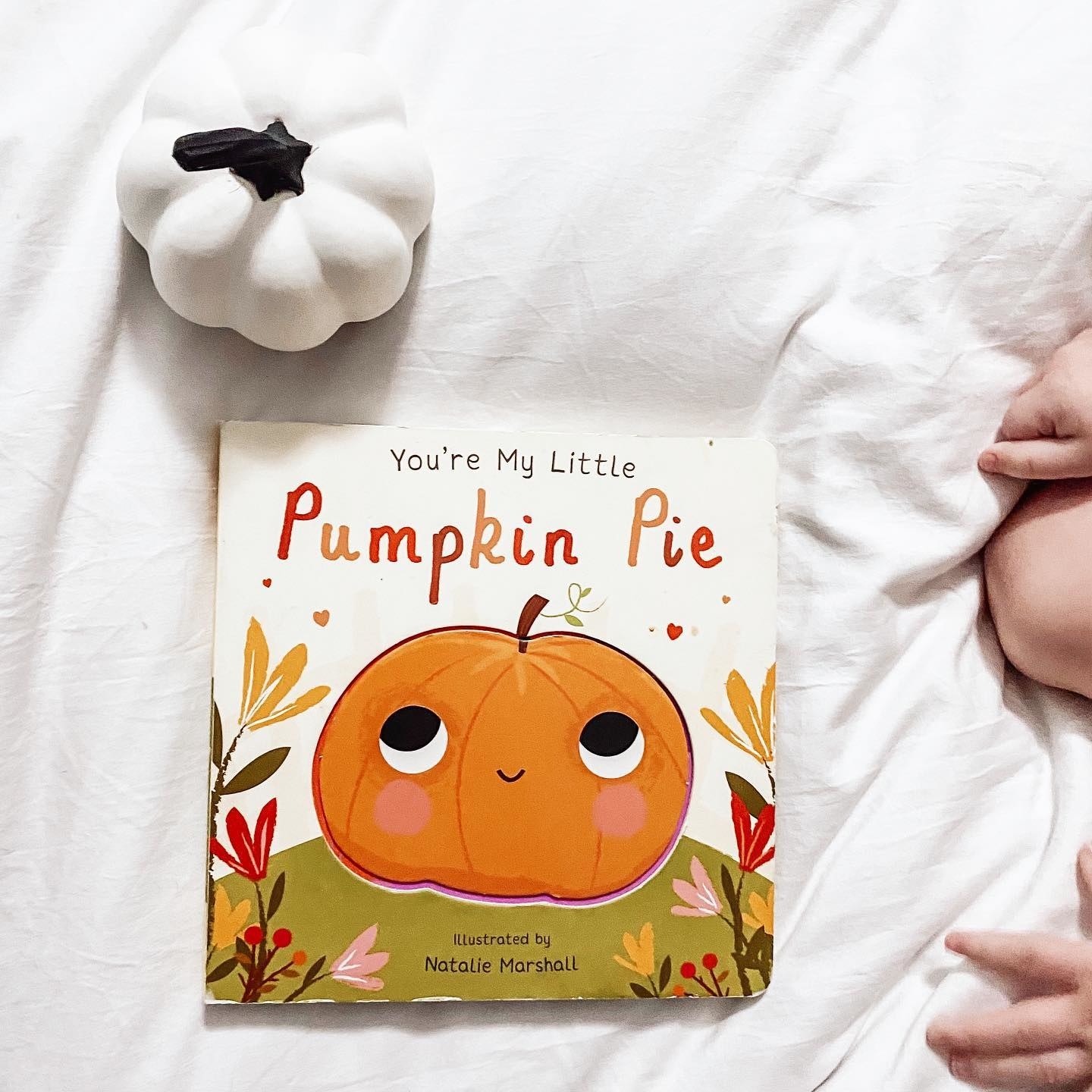 Pumpkin Pie book