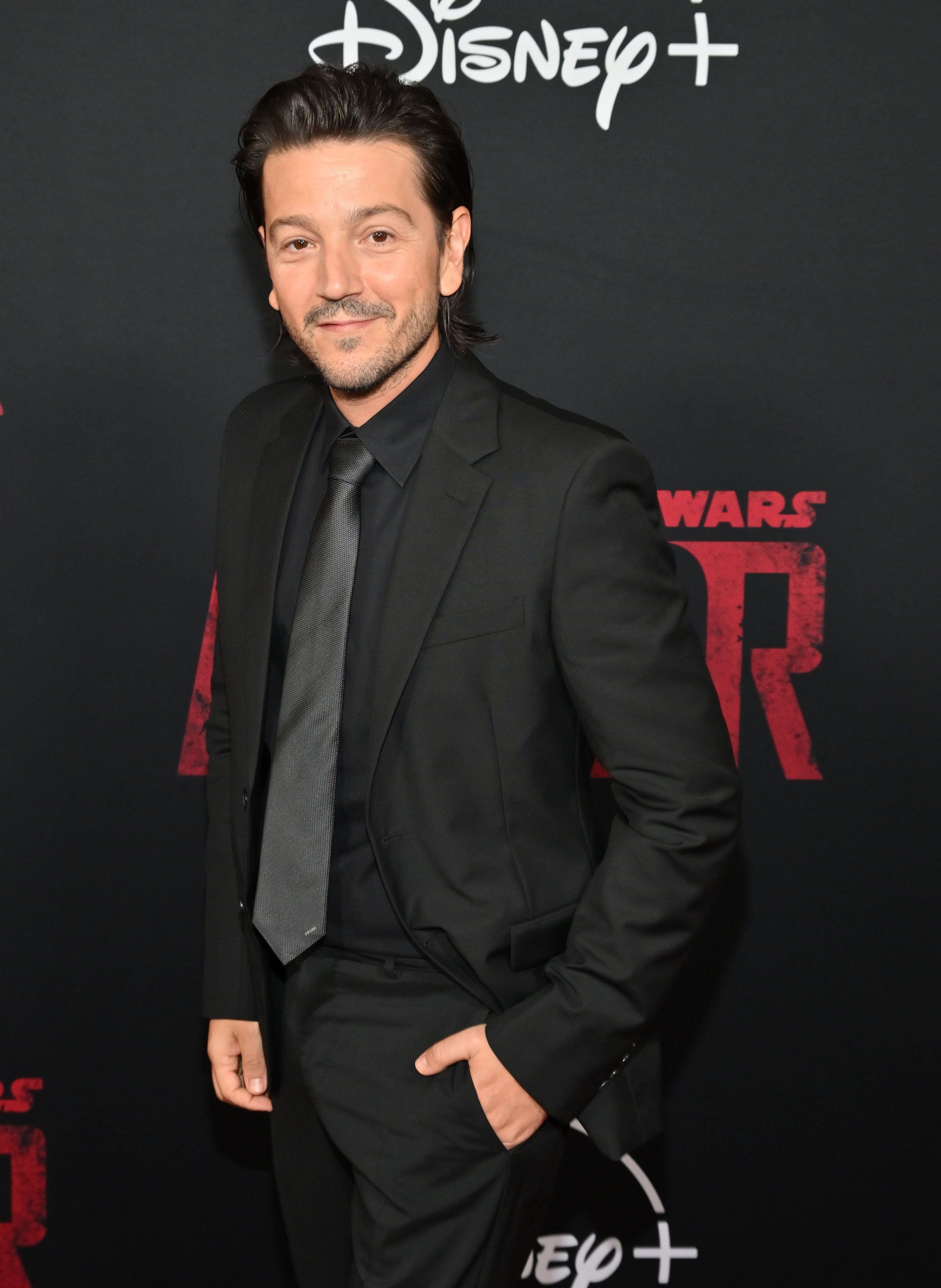 Diego Luna on the red carpet