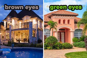 On the left, a mansion with a pool out back labeled brown eyes, and on the right, a Spanish-style home with palm trees out front labeled green eyes