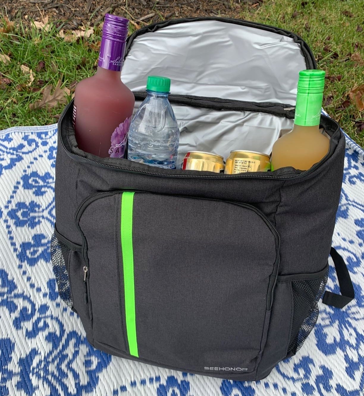 a reviewer's backpack on a picnic blanket