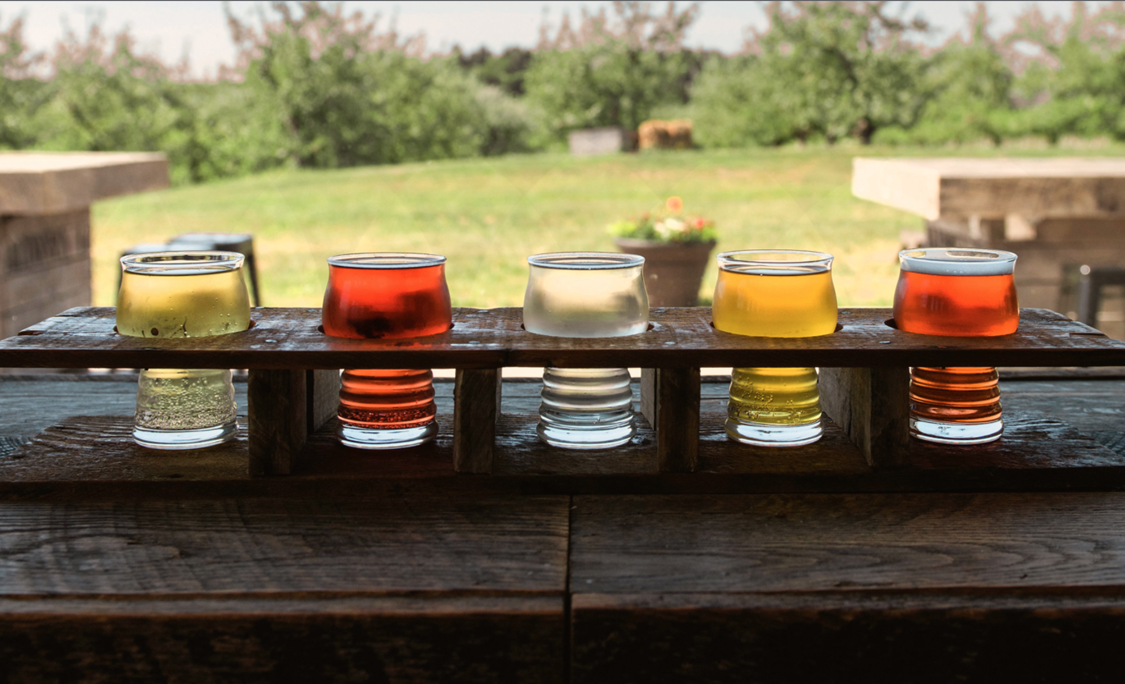 Five different types of ciders