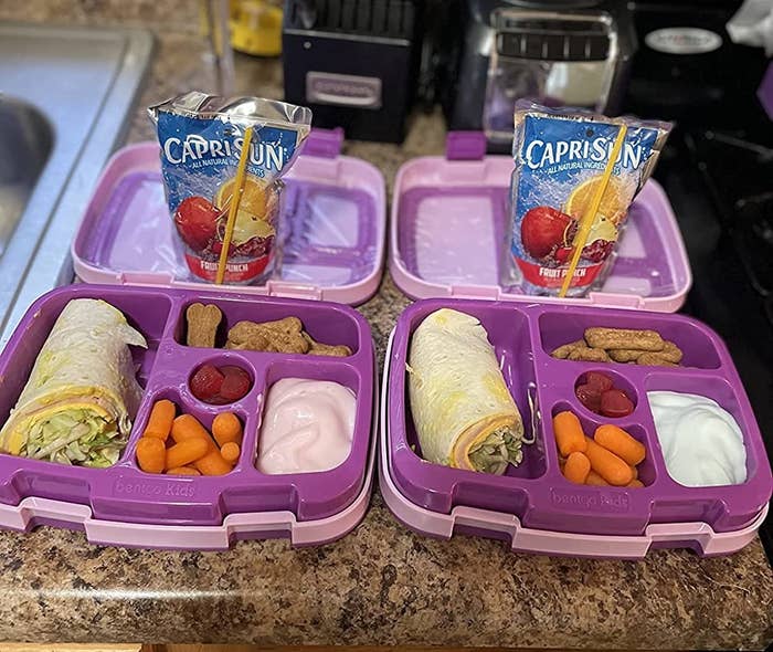 a reviewer&#x27;s two purple bento boxes