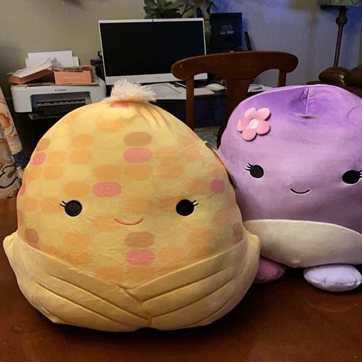 a reviewer's corn squishmallow